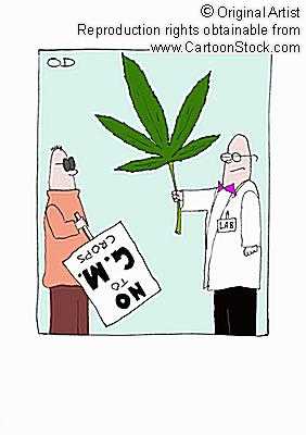 gmweed.jpeg